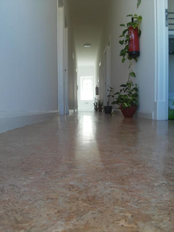 Etagenbett im gemischten Schlafsaal